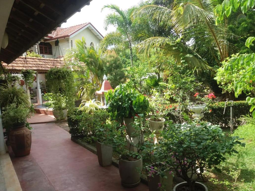 Embiente Guest House Negombo Eksteriør bilde
